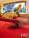 081014_DSCF3367