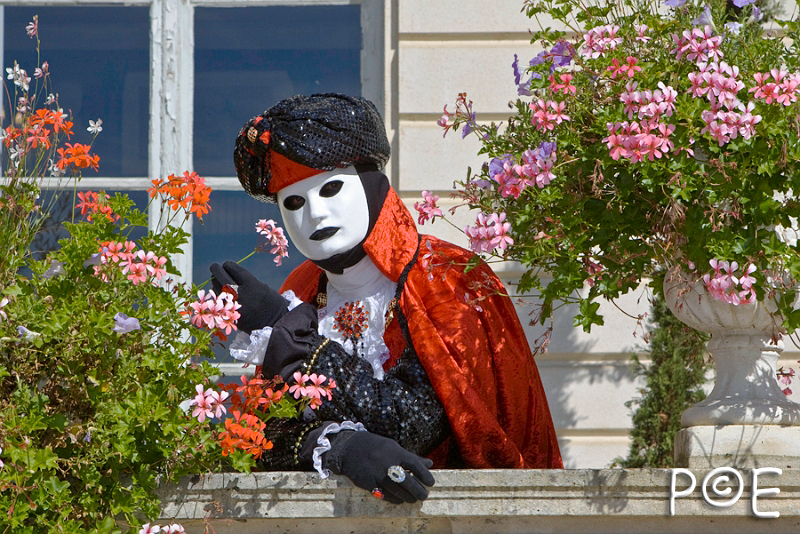 080921_MG_3178.jpg