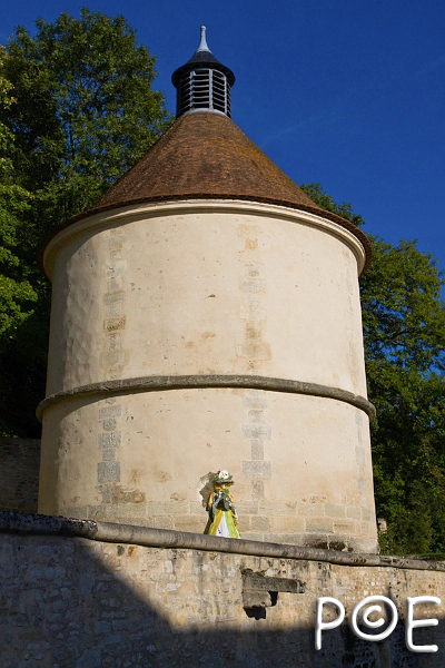 080921_MG_3474.jpg