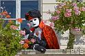 080921_MG_3178