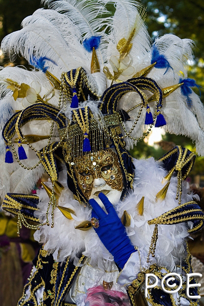081011_MG_6549.jpg