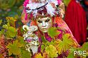 081011_MG_6177
