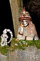 090426_MG_1481