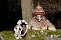 090426_MG_1485