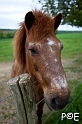 090503_MG_1703