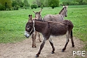 090503_MG_1729