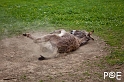 090503_MG_1745