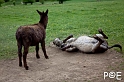 090503_MG_1761