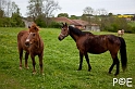 090503_MG_1764