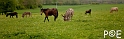 090503_MG_1769