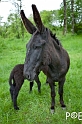 090503_MG_1779