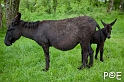 090503_MG_1781