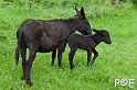 090503_MG_1794
