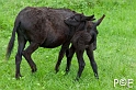 090503_MG_1802