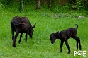 090503_MG_1814