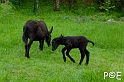 090503_MG_1815