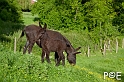 090516_MG_2342