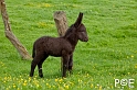 090516_MG_2351