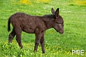 090516_MG_2356