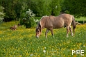 090516_MG_2403