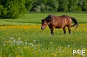 090516_MG_2409
