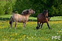 090516_MG_2430
