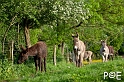 090516_MG_2445