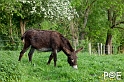 090516_MG_2453