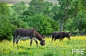 090516_MG_2456