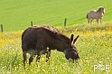 090516_MG_7162