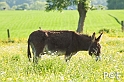 090516_MG_7179