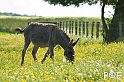 090516_MG_7203