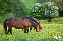 090516_MG_7292