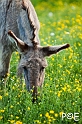 090516_MG_7315