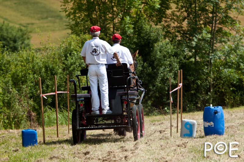 090628_MG_8934.jpg - Concours de présentation de cheval ardennais
