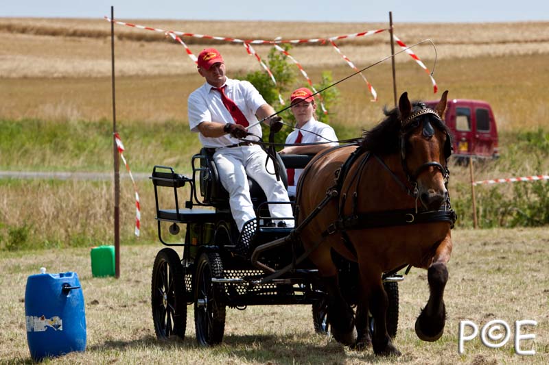 090628_MG_8938.jpg - Concours de présentation de cheval ardennais