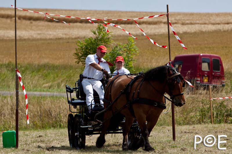090628_MG_8961.jpg - Concours de présentation de cheval ardennais