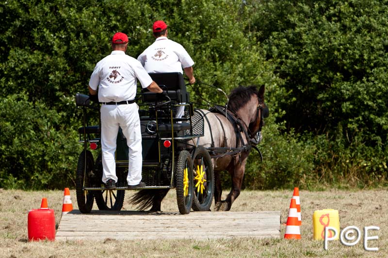 090628_MG_9220.jpg - Concours de présentation de cheval ardennais