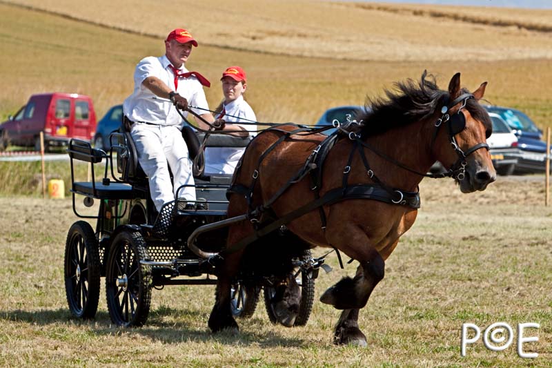 090628_MG_9524.jpg - Concours de présentation de cheval ardennais