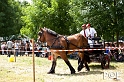 090628_MG_0204