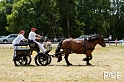 090628_MG_9012