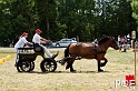 090628_MG_9014