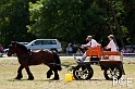 090628_MG_9090