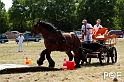 090628_MG_9096