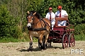 090628_MG_9164