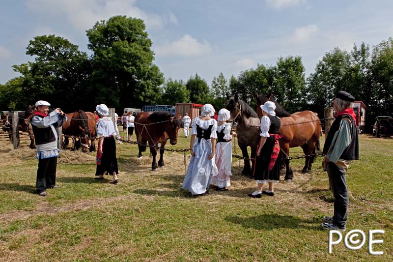090628_MG_0088.jpg - Education et attelage de chevaux