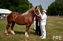 090628_MG_0055