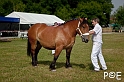 090628_MG_0056