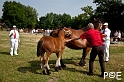 090628_MG_0063