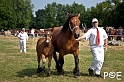 090628_MG_0064